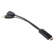 HDMI auf DisplayPort Adapter